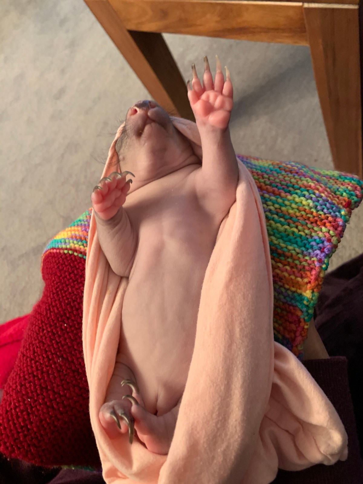 Elsie continues to&nbsp;thrive!