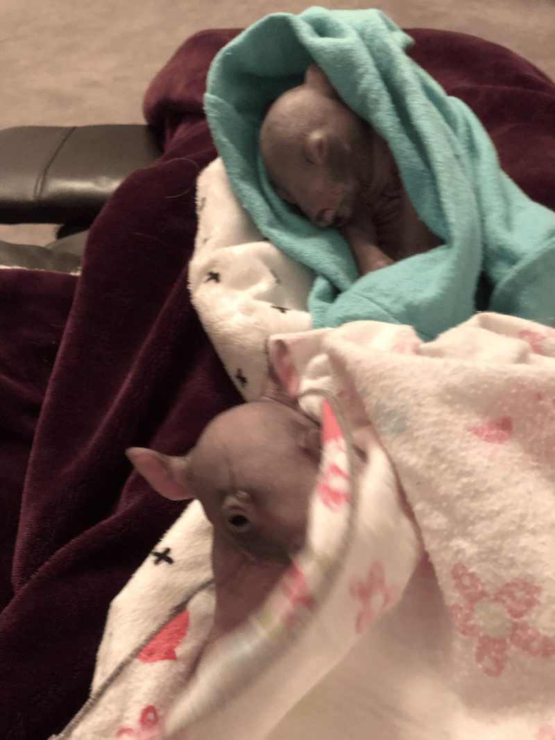 And then there were&nbsp;two…