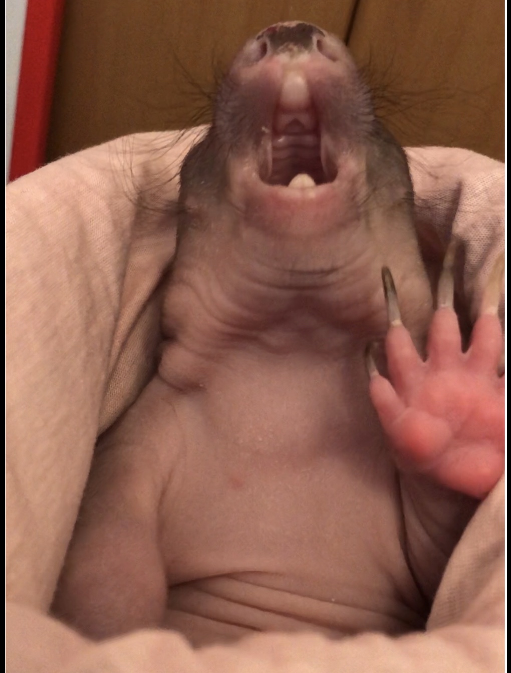 Elsie, huge growth, great&nbsp;development!