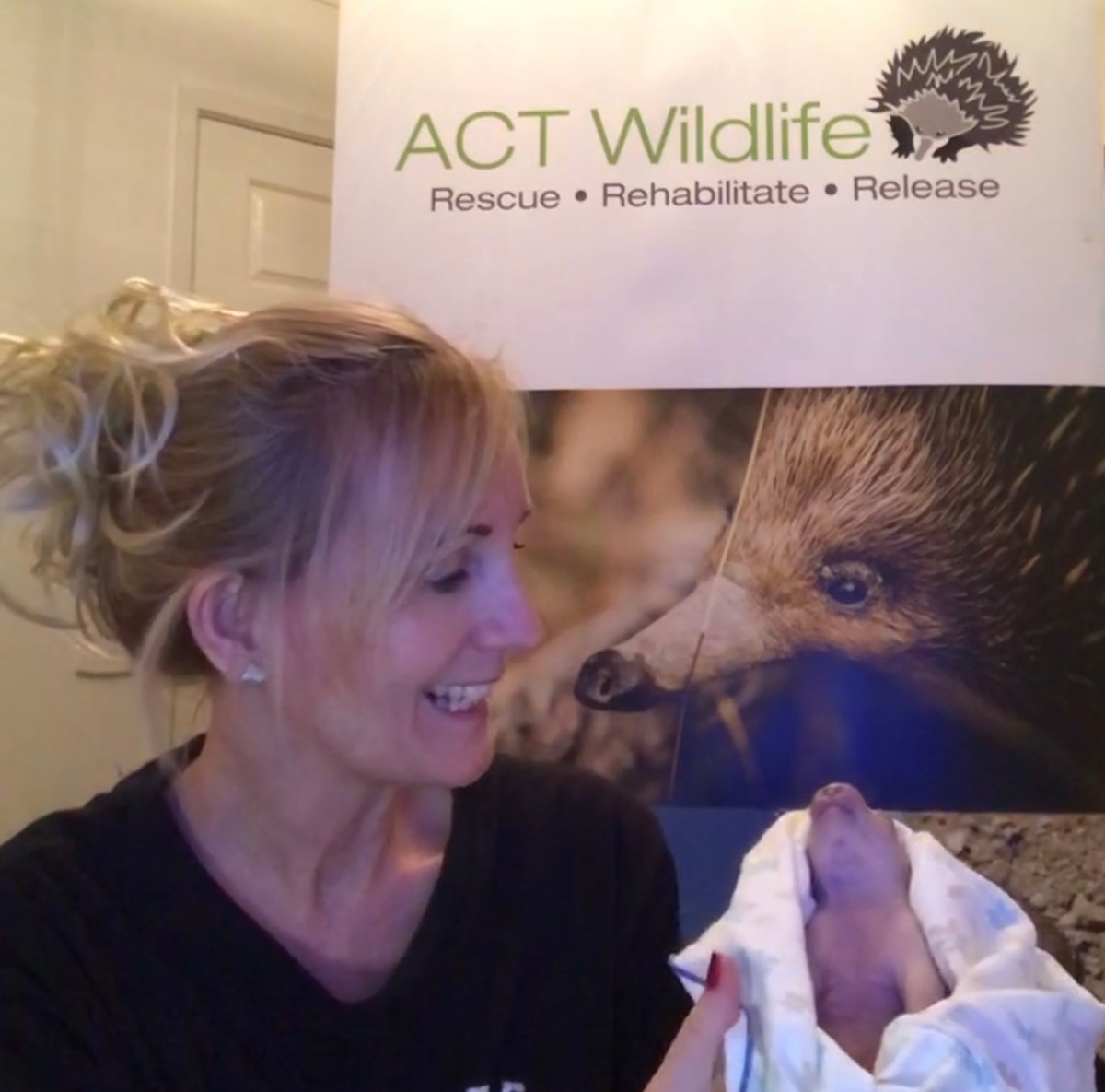 The day in the life of a&nbsp;carer….